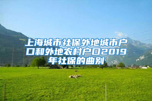 上海城市社保外地城市户口和外地农村户口2019年社保的曲别