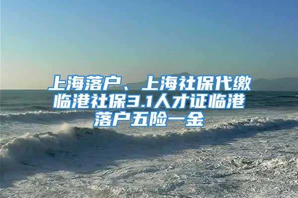 上海落户、上海社保代缴临港社保3.1人才证临港落户五险一金