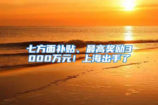 七方面补贴、最高奖励3000万元！上海出手了