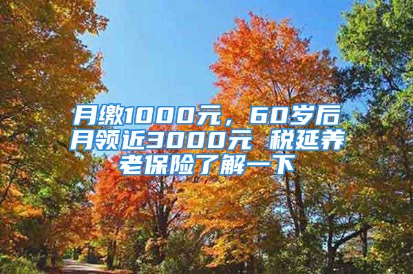 月缴1000元，60岁后月领近3000元 税延养老保险了解一下