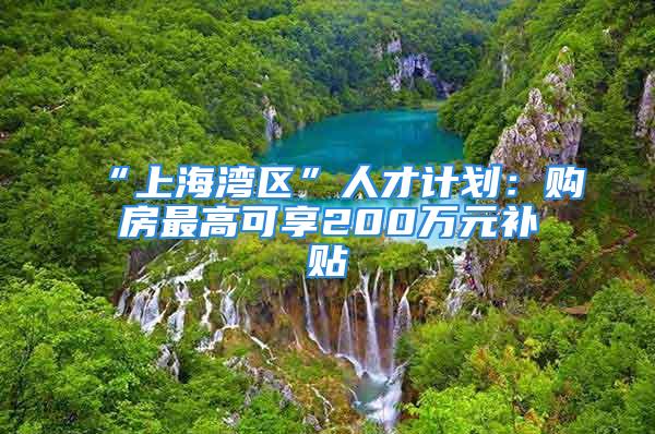 “上海湾区”人才计划：购房最高可享200万元补贴