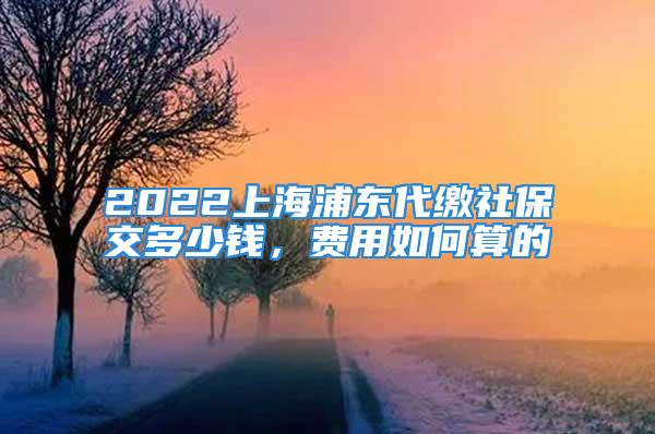 2022上海浦东代缴社保交多少钱，费用如何算的