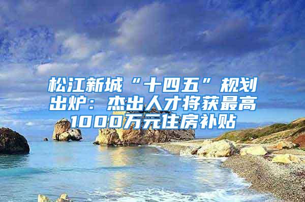 松江新城“十四五”规划出炉：杰出人才将获最高1000万元住房补贴