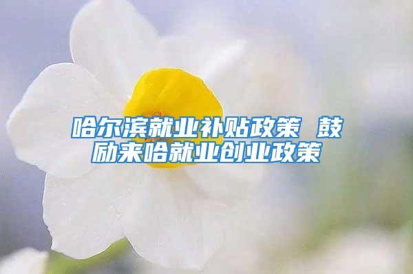 哈尔滨就业补贴政策 鼓励来哈就业创业政策