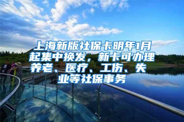 上海新版社保卡明年1月起集中换发，新卡可办理养老、医疗、工伤、失 业等社保事务