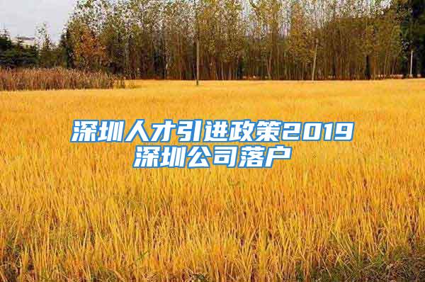 深圳人才引进政策2019深圳公司落户