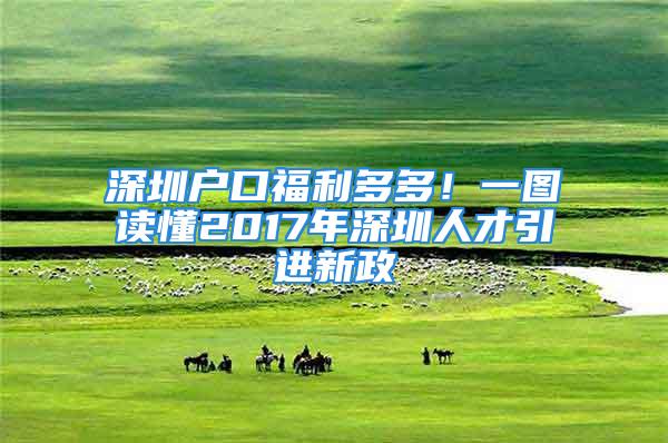 深圳户口福利多多！一图读懂2017年深圳人才引进新政