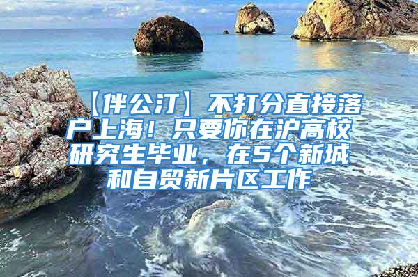 【伴公汀】不打分直接落户上海！只要你在沪高校研究生毕业，在5个新城和自贸新片区工作