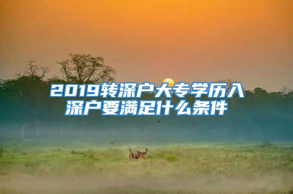 2019转深户大专学历入深户要满足什么条件