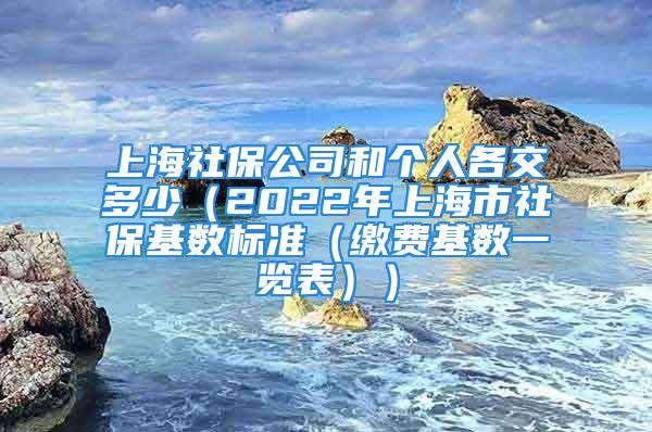 上海社保公司和个人各交多少（2022年上海市社保基数标准（缴费基数一览表））