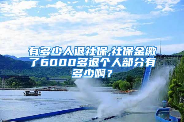 有多少人退社保,社保金缴了6000多退个人部分有多少啊？