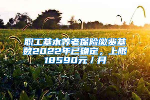 职工基本养老保险缴费基数2022年已确定，上限18590元／月