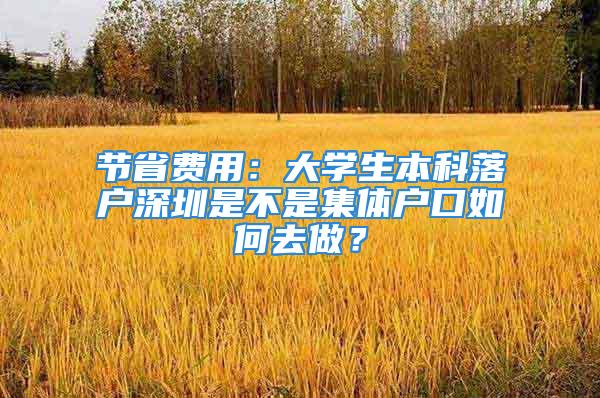 节省费用：大学生本科落户深圳是不是集体户口如何去做？