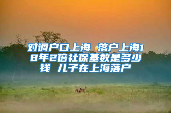 对调户口上海 落户上海18年2倍社保基数是多少钱 儿子在上海落户