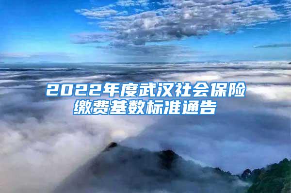 2022年度武汉社会保险缴费基数标准通告