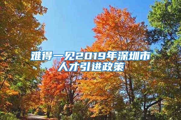 难得一见2019年深圳市人才引进政策