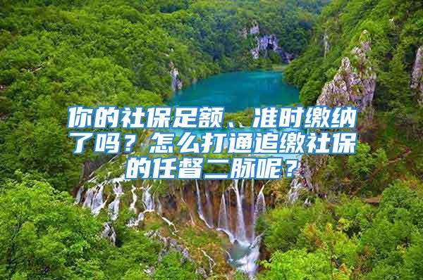 你的社保足额、准时缴纳了吗？怎么打通追缴社保的任督二脉呢？