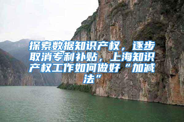 探索数据知识产权，逐步取消专利补贴，上海知识产权工作如何做好“加减法”