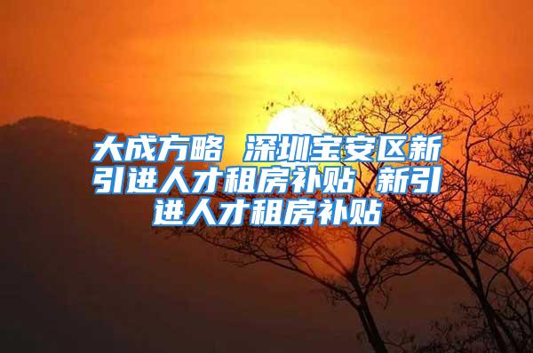 大成方略 深圳宝安区新引进人才租房补贴 新引进人才租房补贴