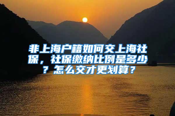 非上海户籍如何交上海社保，社保缴纳比例是多少？怎么交才更划算？