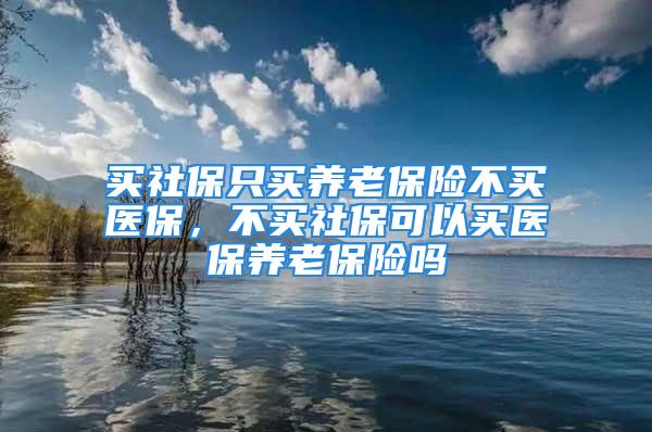 买社保只买养老保险不买医保，不买社保可以买医保养老保险吗