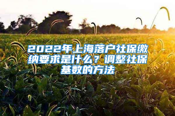 2022年上海落户社保缴纳要求是什么？调整社保基数的方法