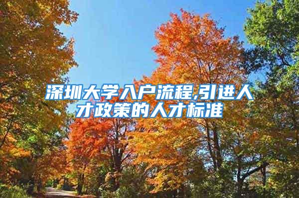 深圳大学入户流程,引进人才政策的人才标准