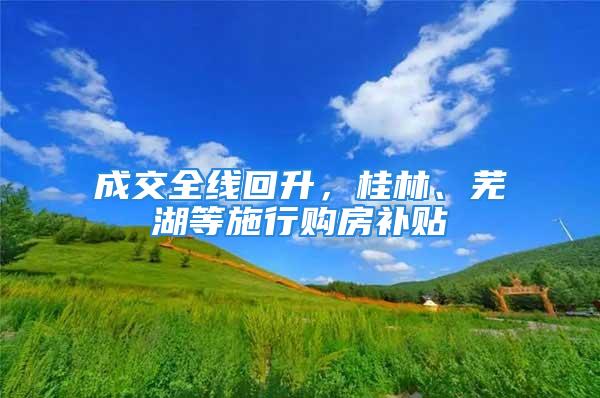 成交全线回升，桂林、芜湖等施行购房补贴