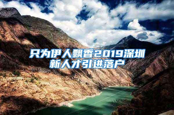 只为伊人飘香2019深圳新人才引进落户