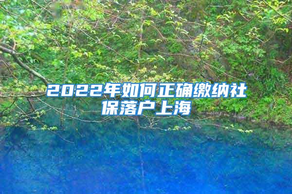 2022年如何正确缴纳社保落户上海