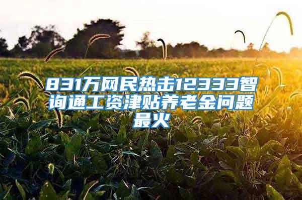 831万网民热击12333智询通工资津贴养老金问题最火