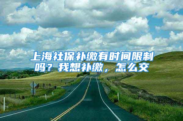 上海社保补缴有时间限制吗？我想补缴，怎么交