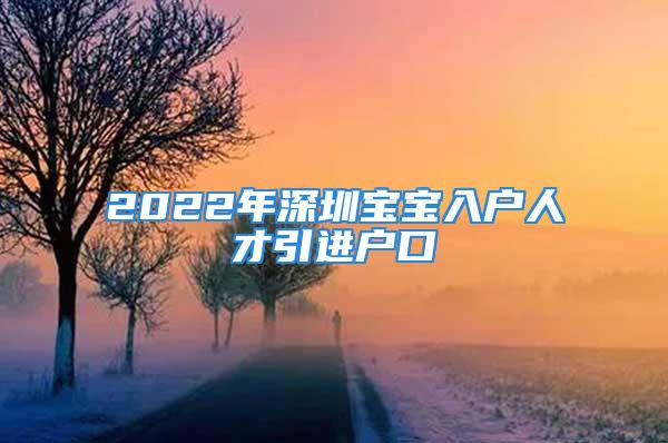 2022年深圳宝宝入户人才引进户口