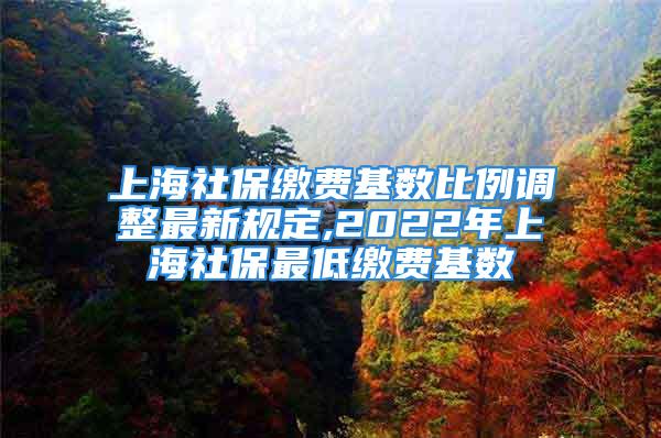 上海社保缴费基数比例调整最新规定,2022年上海社保最低缴费基数