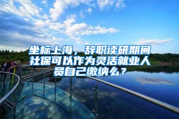 坐标上海，辞职读研期间社保可以作为灵活就业人员自己缴纳么？