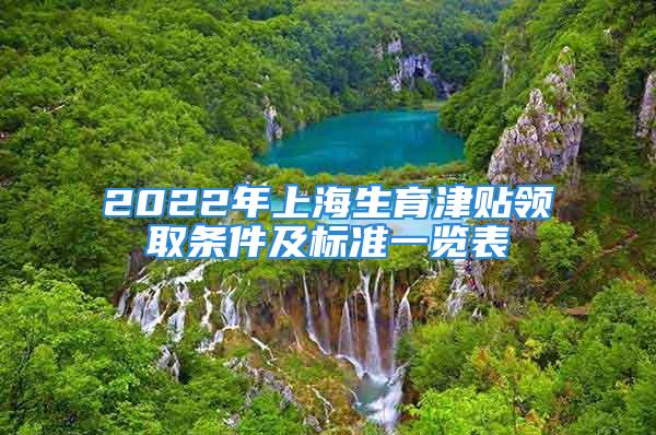 2022年上海生育津贴领取条件及标准一览表