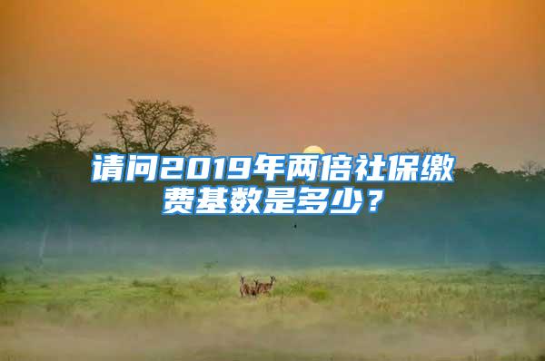 请问2019年两倍社保缴费基数是多少？