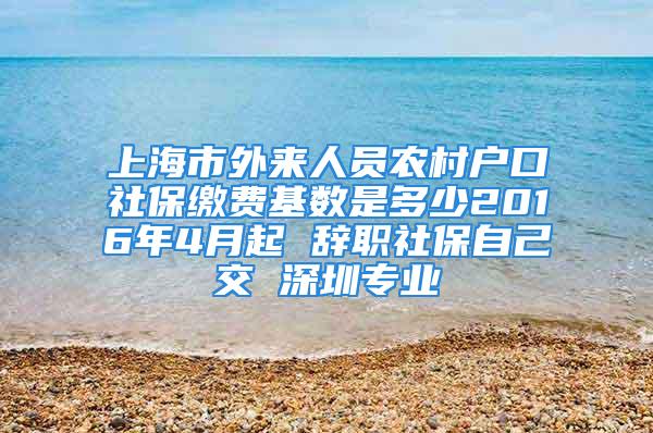 上海市外来人员农村户口社保缴费基数是多少2016年4月起 辞职社保自己交 深圳专业