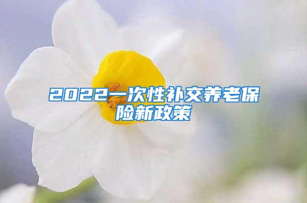 2022一次性补交养老保险新政策