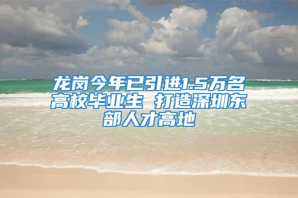 龙岗今年已引进1.5万名高校毕业生 打造深圳东部人才高地