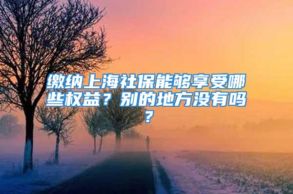 缴纳上海社保能够享受哪些权益？别的地方没有吗？