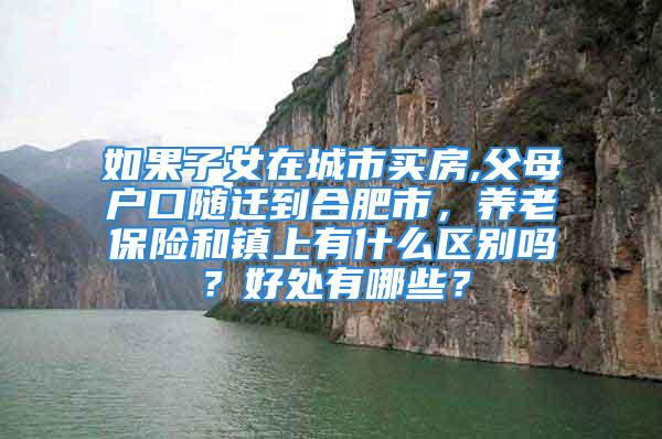 如果子女在城市买房,父母户口随迁到合肥市，养老保险和镇上有什么区别吗？好处有哪些？