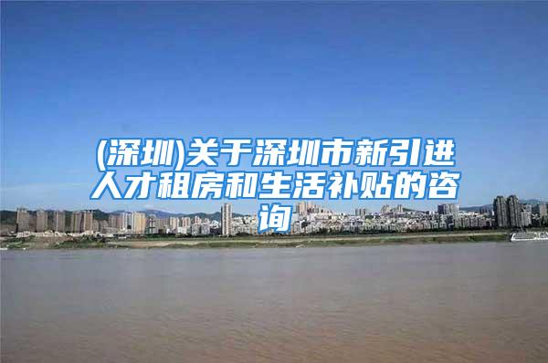 (深圳)关于深圳市新引进人才租房和生活补贴的咨询