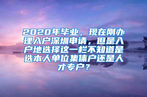 2020年毕业，现在刚办理入户深圳申请，但是入户地选择这一栏不知道是选本人单位集体户还是人才专户？