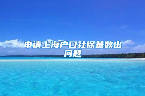 申请上海户口社保基数出问题