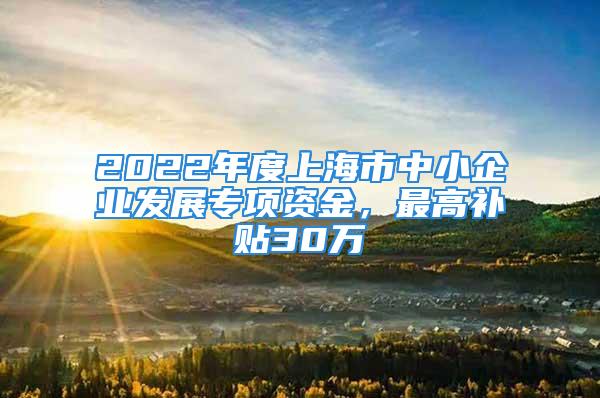 2022年度上海市中小企业发展专项资金，最高补贴30万