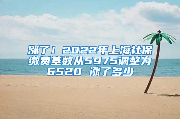 涨了！2022年上海社保缴费基数从5975调整为6520 涨了多少