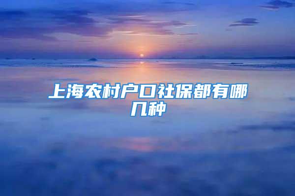 上海农村户口社保都有哪几种