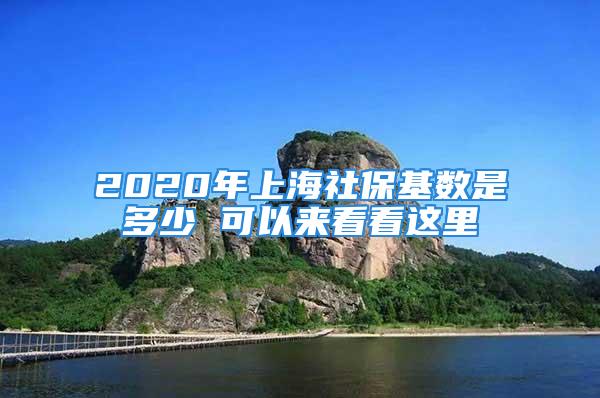 2020年上海社保基数是多少 可以来看看这里