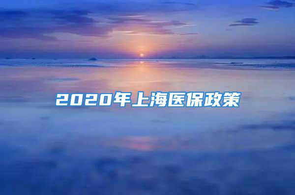 2020年上海医保政策